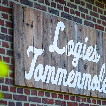 Logies Tommenmolen Appartement Grimbergen Buitenkant foto